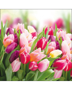 Napkin 33 Glorious tulips FSC Mix