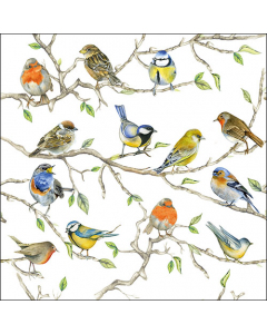 Napkin 33 Birds meeting FSC Mix