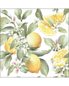 Napkin 33 Limoni FSC Mix