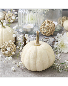 Napkin 33 Modern pumpkin FSC Mix