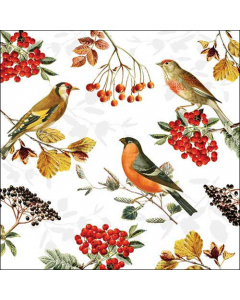 Napkin 33 Autumn birds FSC Mix