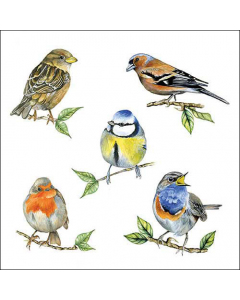 Napkin 33 Bird species white FSC Mix