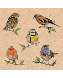 Napkin 33 Recycled Bird species nature FSC Mix