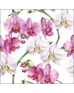 Napkin 33 Elegant orchids white FSC Mix