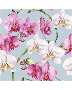 Napkin 33 Elegant orchids blue FSC Mix