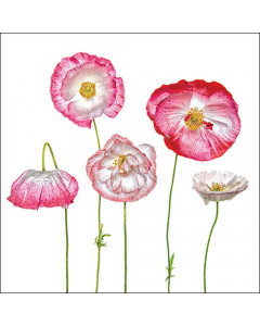 Napkin 33 Pale poppies FSC Mix