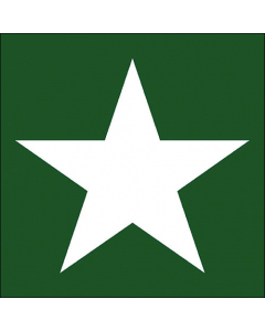 Napkin 33 Star green FSC Mix