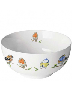 Bowl Bird species white