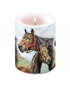 Candle big Horse love