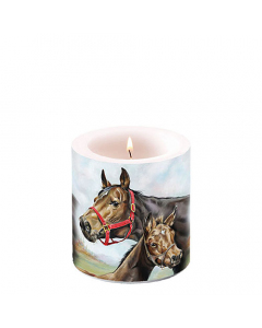 Candle small Horse love