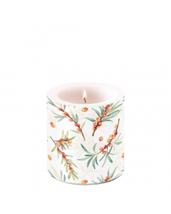 Candle small Sea buckthorn