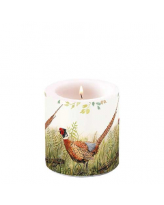 Candle small Glorious pheasant