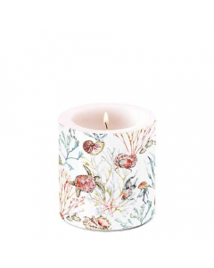 Candle small Sea animals