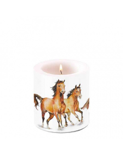 Candle small Wild horses