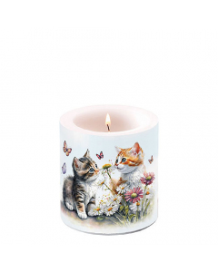 Candle small Kittens in flower field