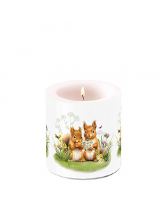 Candle small Little squirrels