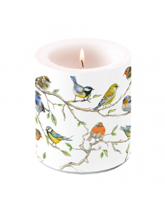 Candle medium Birds meeting