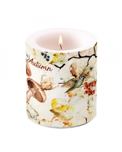 Candle medium Wonderful autumn