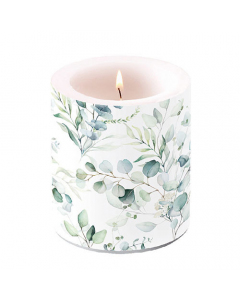 Candle medium Eucalyptus all over