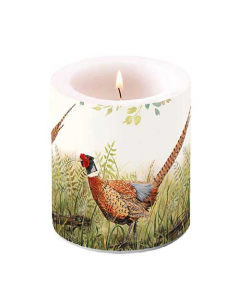 Candle medium Glorious pheasant