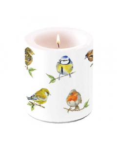 Candle medium Bird species white