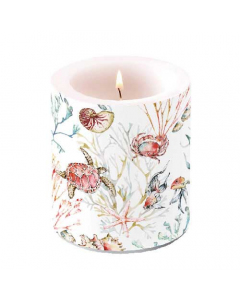 Candle medium Sea animals