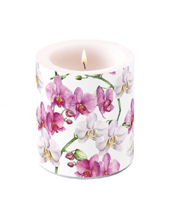 Candle medium Elegant orchids white