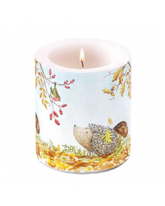 Candle medium Forest friends