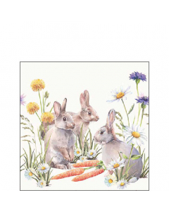 Napkin 25 Carrot treat FSC Mix
