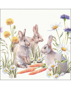 Napkin 33 Carrot treat FSC Mix