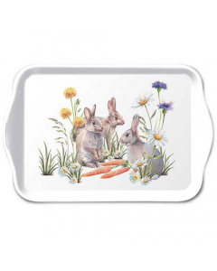 Tray melamine 13x21 cm Carrot treat