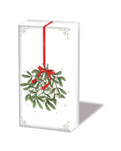 Hdkf Mistletoe with bow white