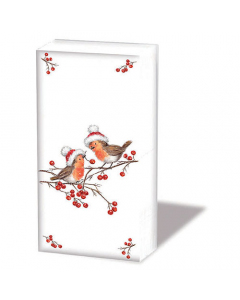 Hdkf Christmas robins white