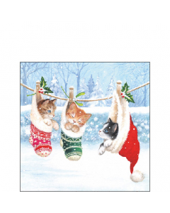 Napkin 25 Kitten in winterland FSC Mix