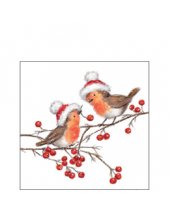 Napkin 25 Christmas robins white FSC Mix