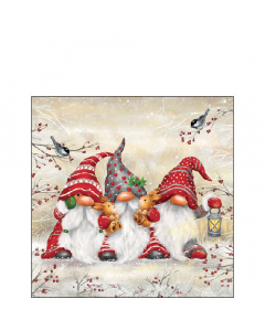 Napkin 25 Three dwarfs FSC Mix