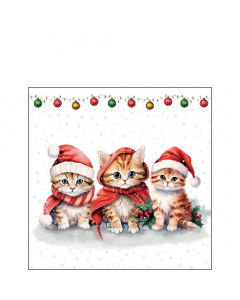 Napkin 25 Funny cute kittens FSC Mix