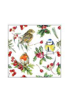 Napkin 25 Birds in winter FSC Mix