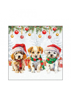 Napkin 25 Funny cute puppies FSC Mix