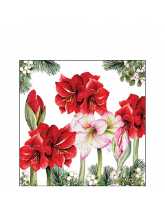 Napkin 25 Blooming amaryllis white FSC Mix