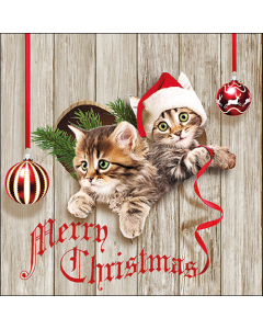 Napkin 33 Curious kittens FSC Mix
