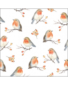 Napkin 33 Robin family FSC Mix