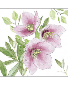Napkin 33 Classic helleborus FSC Mix