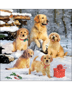 Napkin 33 Golden retriever puppies FSC Mix