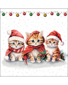 Napkin 33 Funny cute kittens FSC Mix