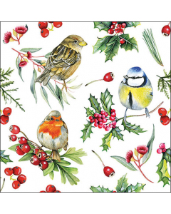 Napkin 33 Birds in winter FSC Mix