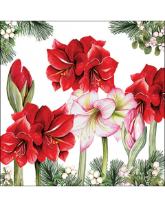 Napkin 33 Blooming amaryllis white FSC Mix