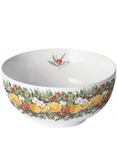 Bowl Winter oranges