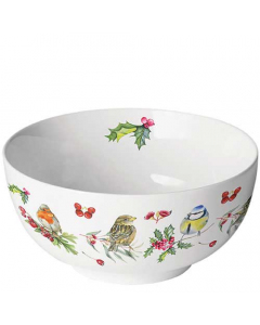Bowl Birds in winter