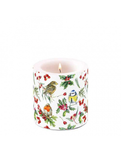 Candle small Birds in winter